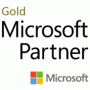 Microsoft Bold Partner Logo
